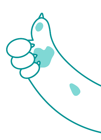 Subscribe for updates